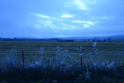 DSC_1091 (Large).JPG